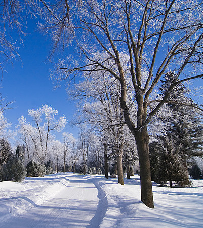 Winters delight