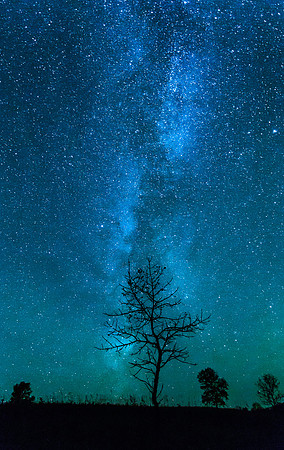 Galaxy Tree