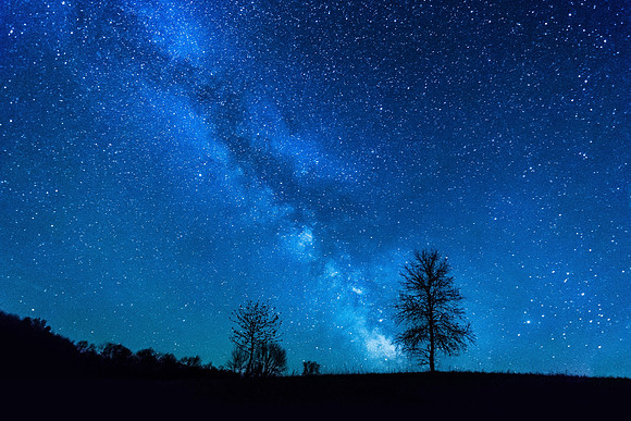 Tree of life