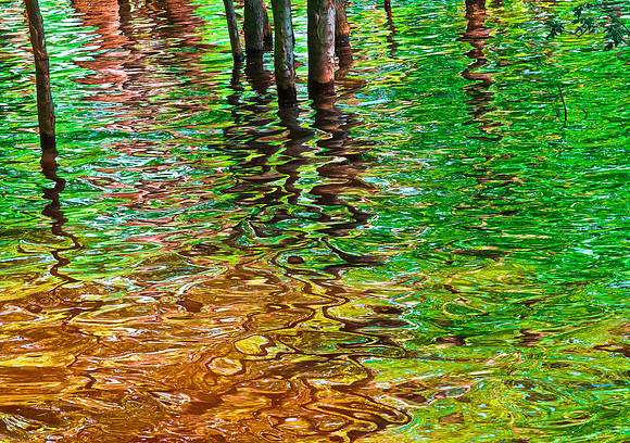 "Reflections"