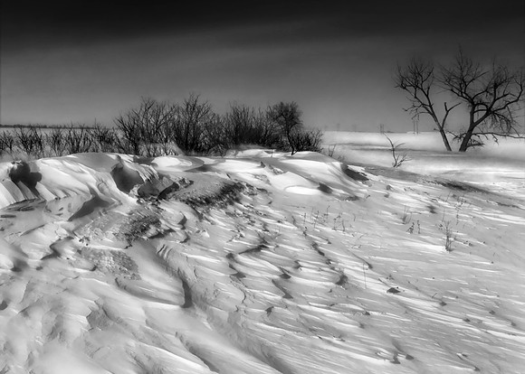 "Snowy desert" By: Dan Francis